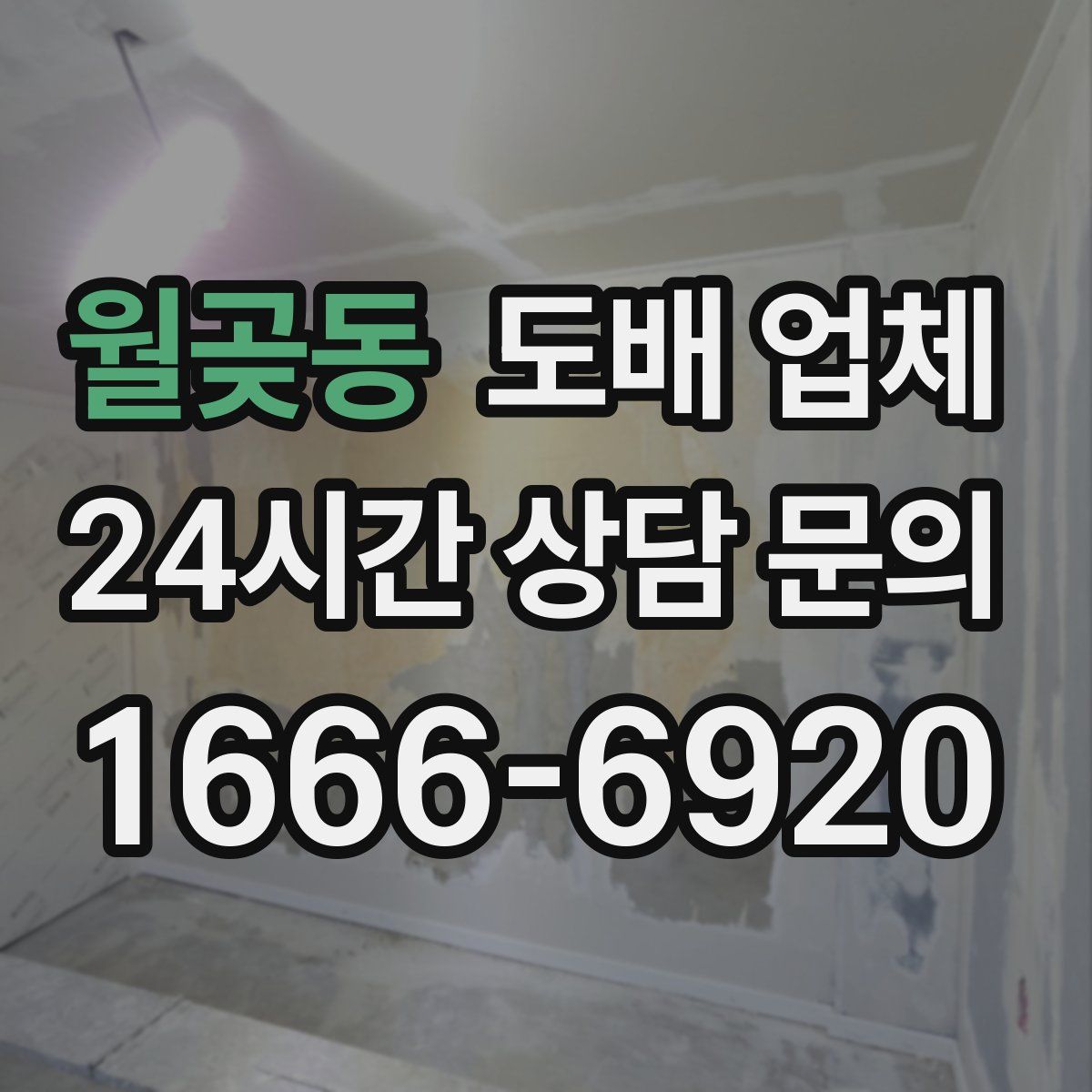월곶동 도배 업체