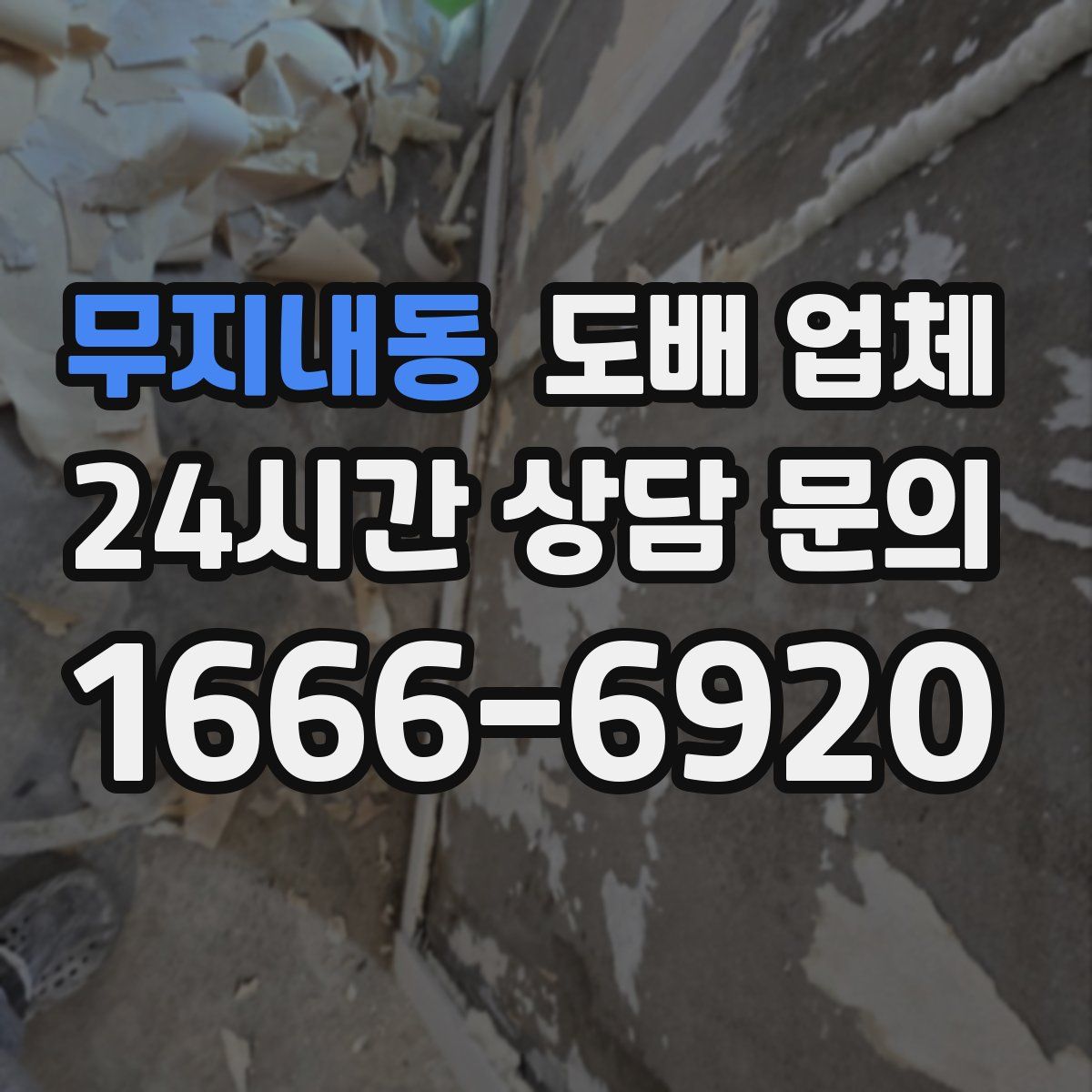 무지내동 도배 업체