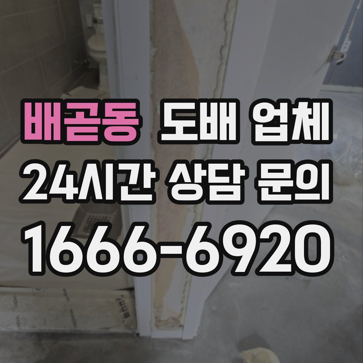 배곧동 도배 업체