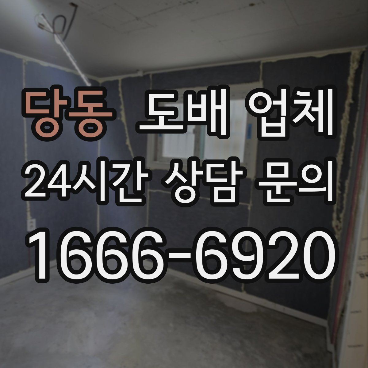 당동 도배 업체 시공 사례에서 확인할 부분