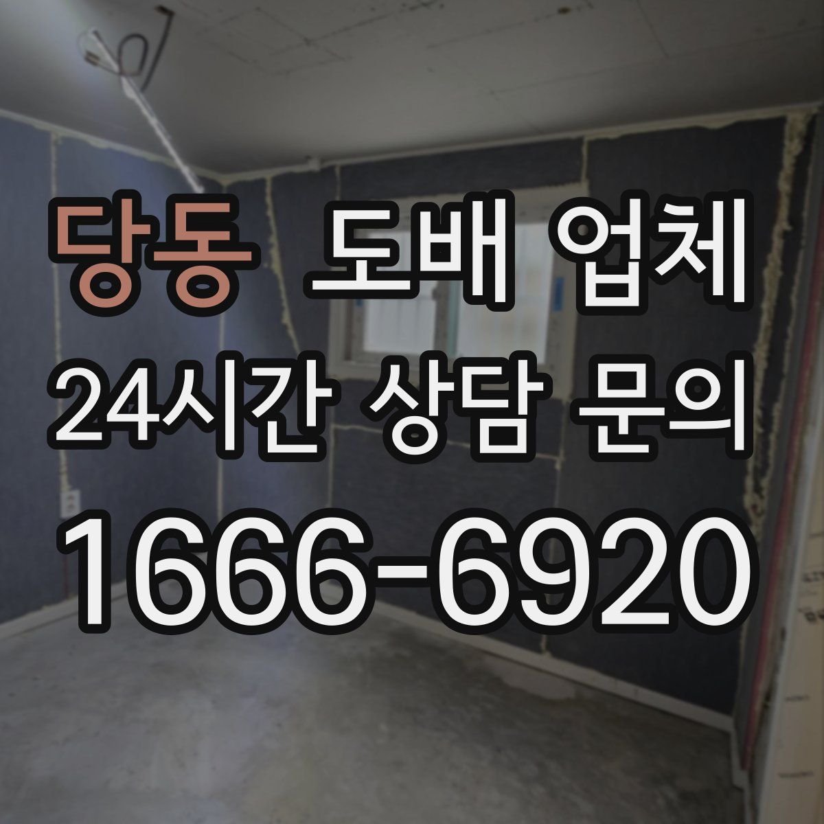당동 도배 업체