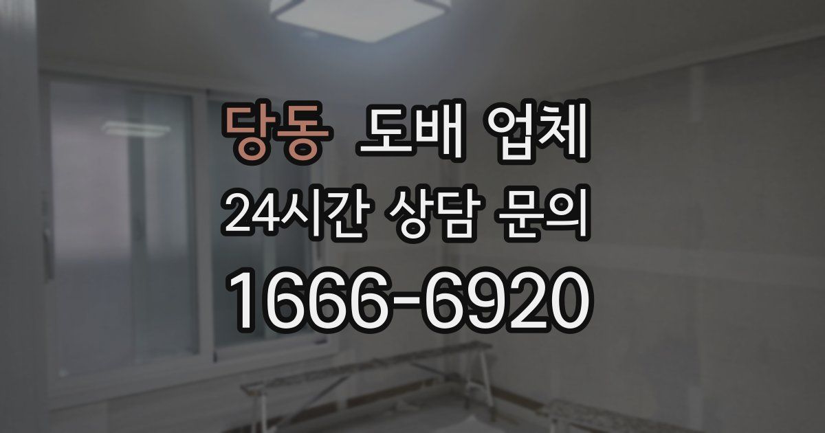 당동 도배 업체
