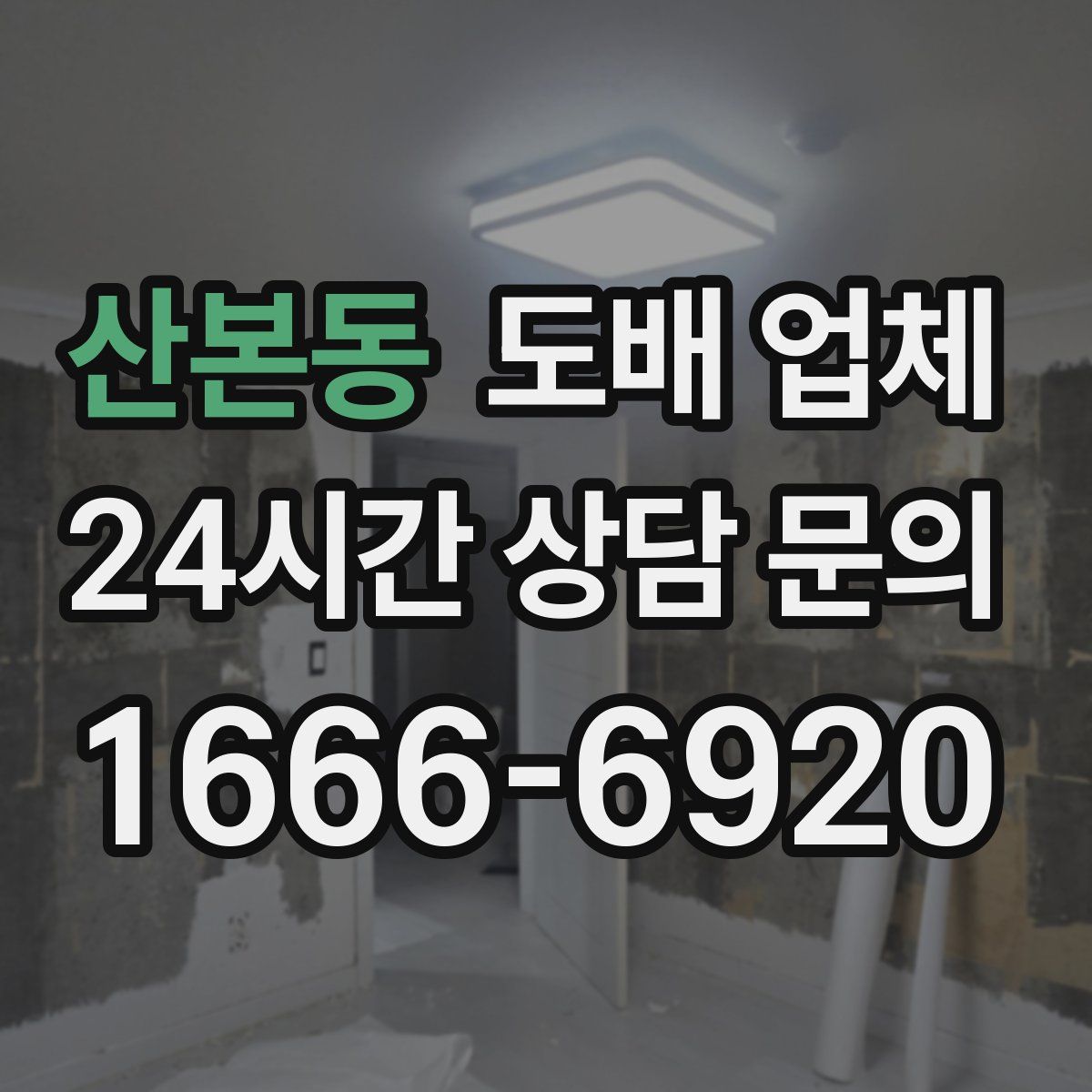 산본동 도배 업체