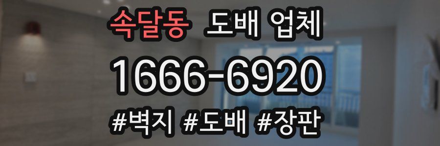 속달동 도배 업체