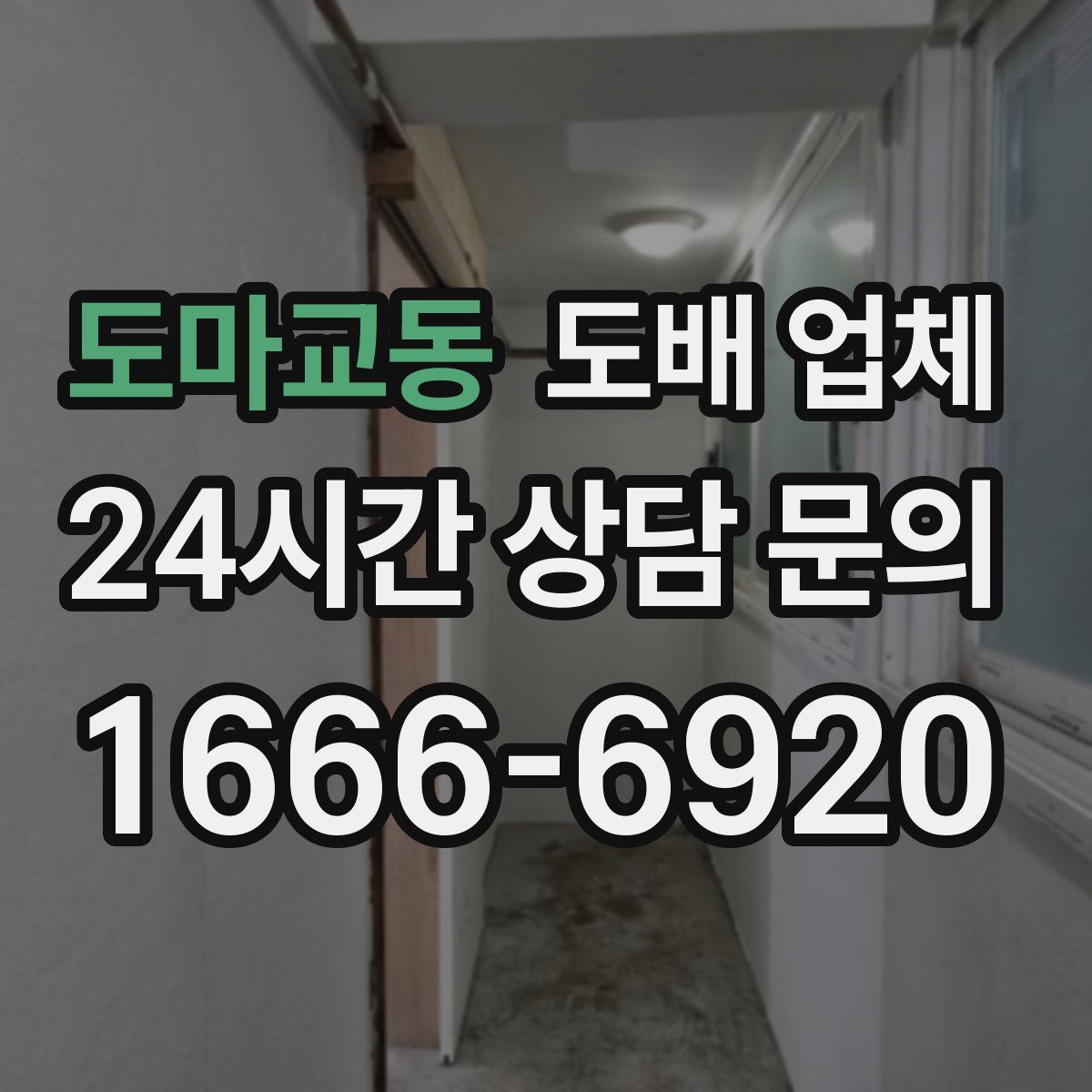 도마교동 도배 업체