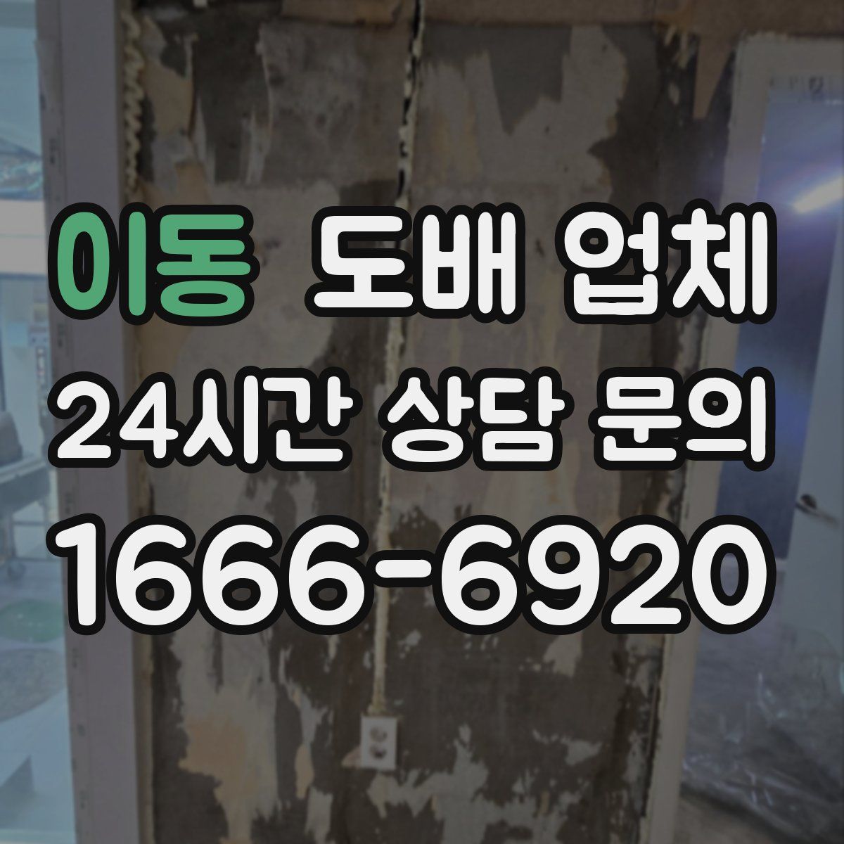 이동 도배 업체