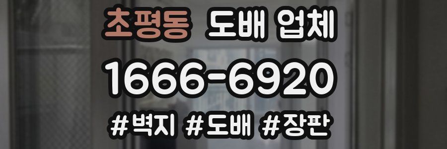 초평동 도배 업체