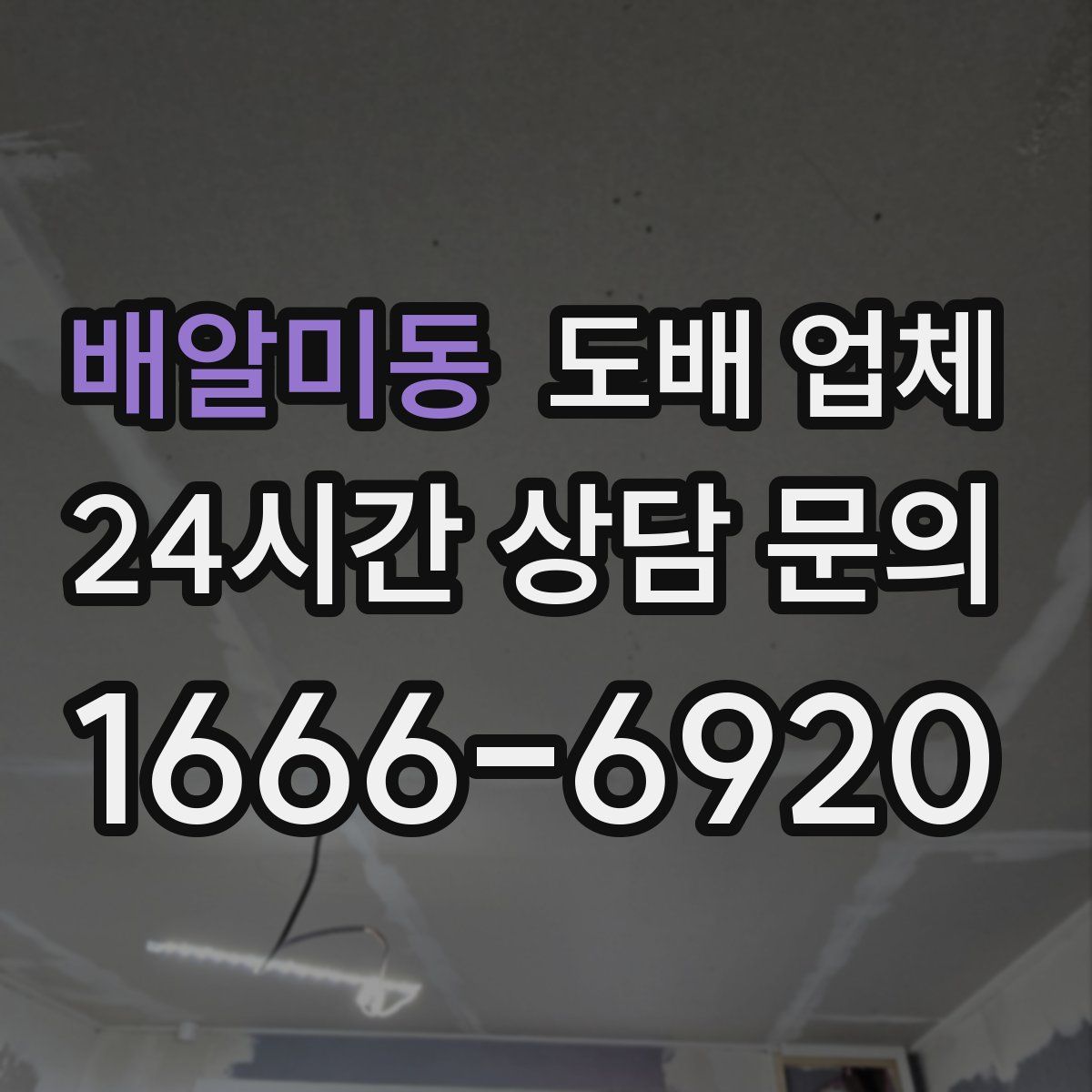 배알미동 도배 업체