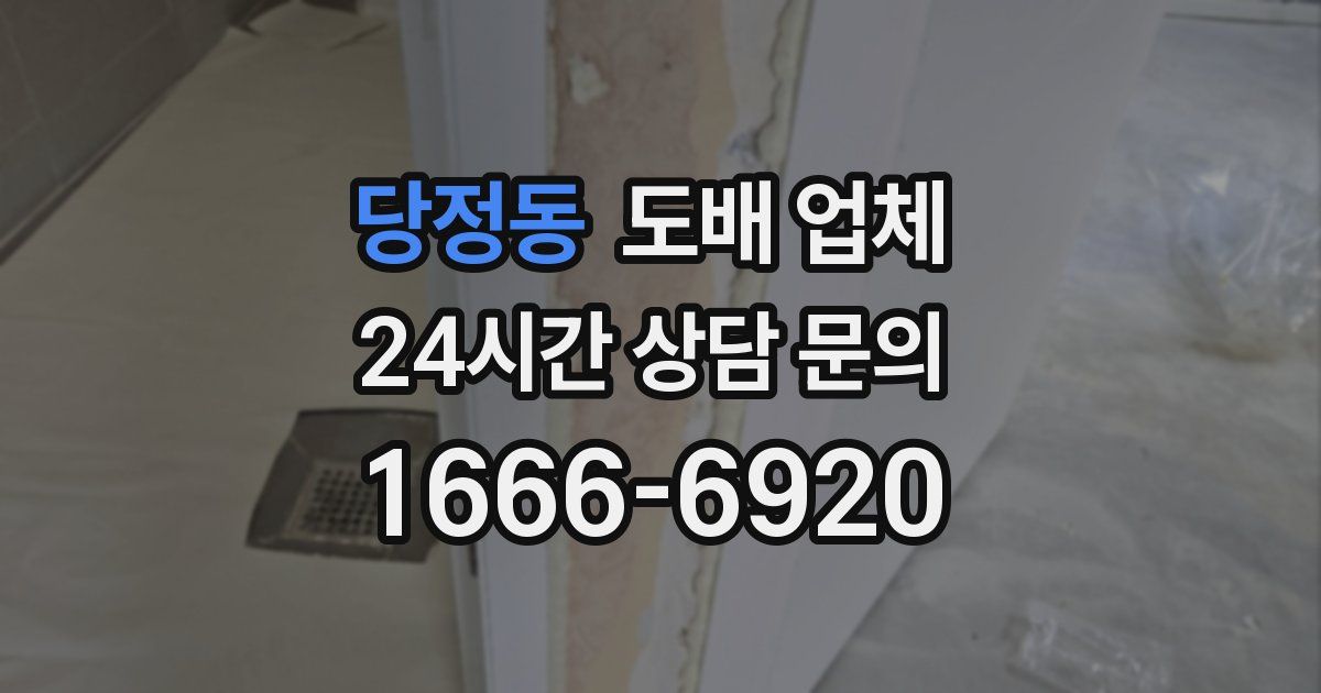 당정동 도배 업체