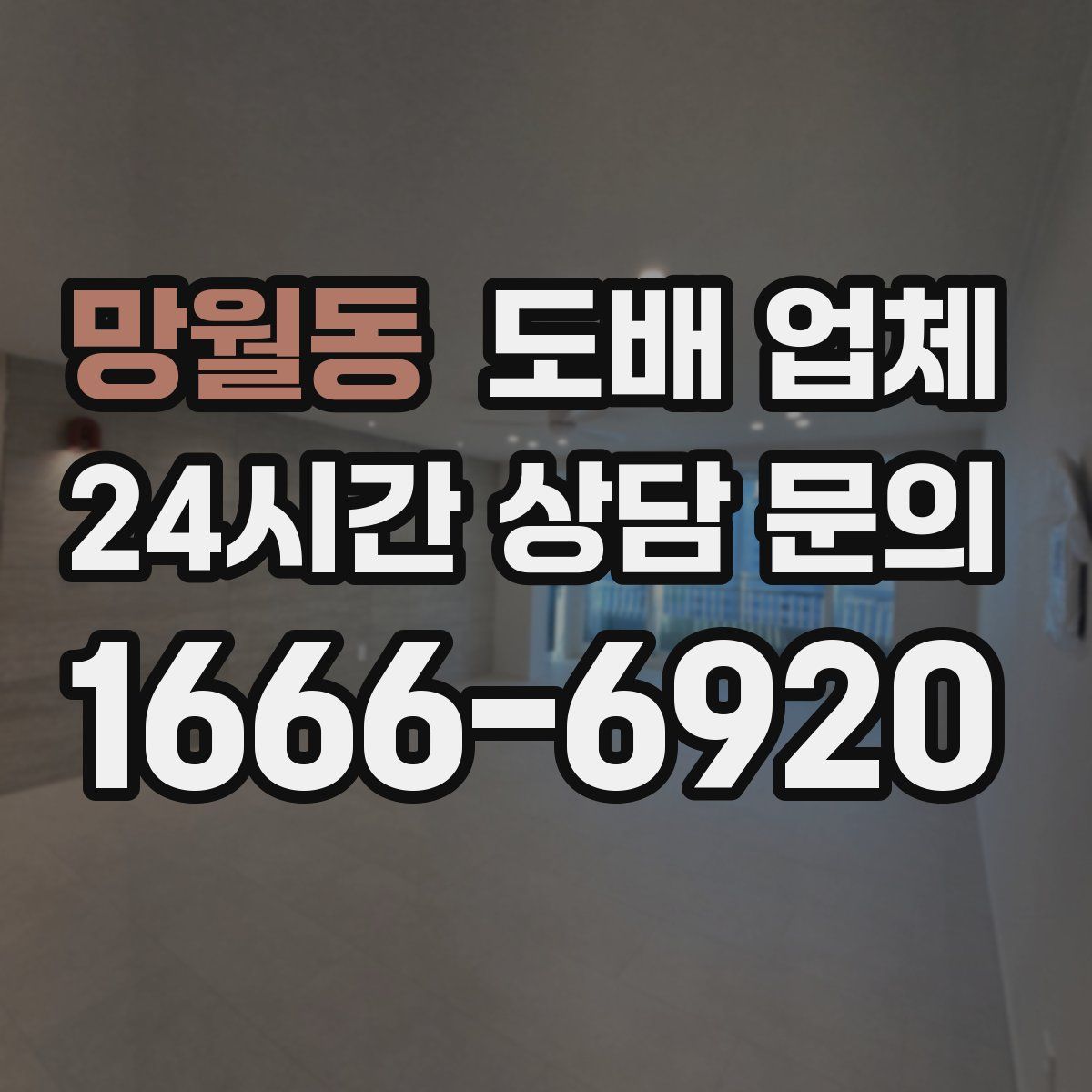 망월동 도배 업체