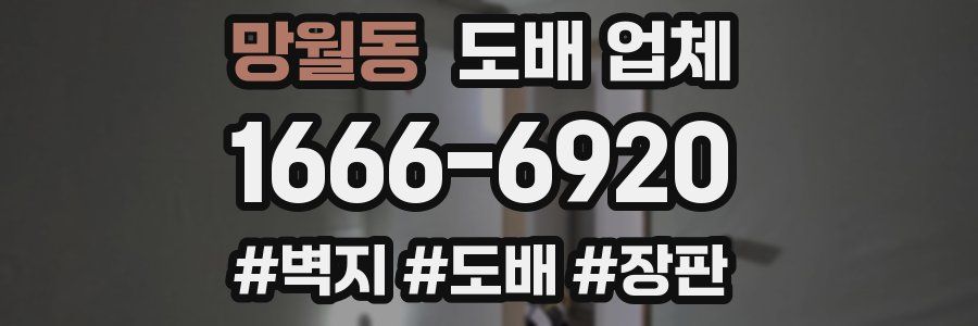망월동 도배 업체
