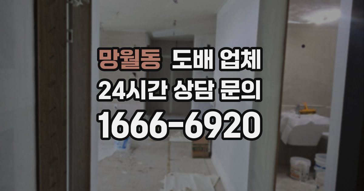 망월동 도배 업체