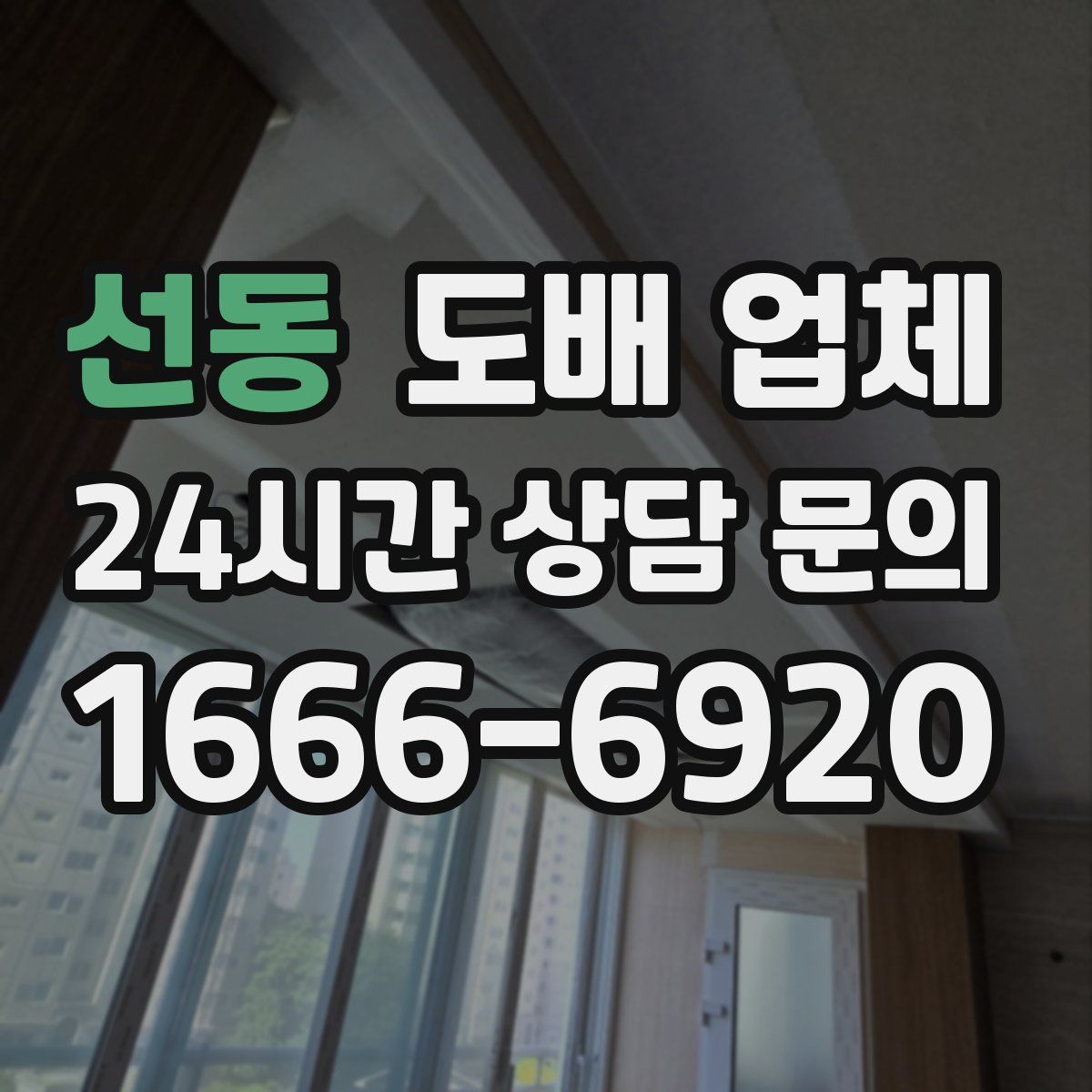 선동 도배 업체