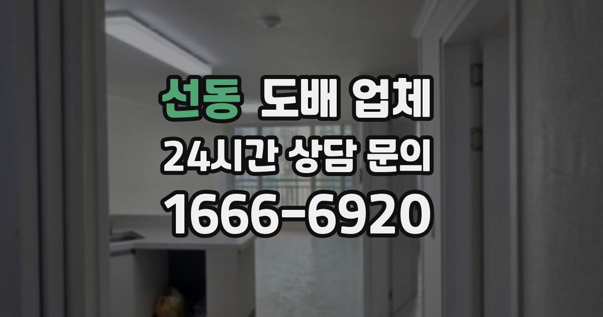 선동 도배 업체