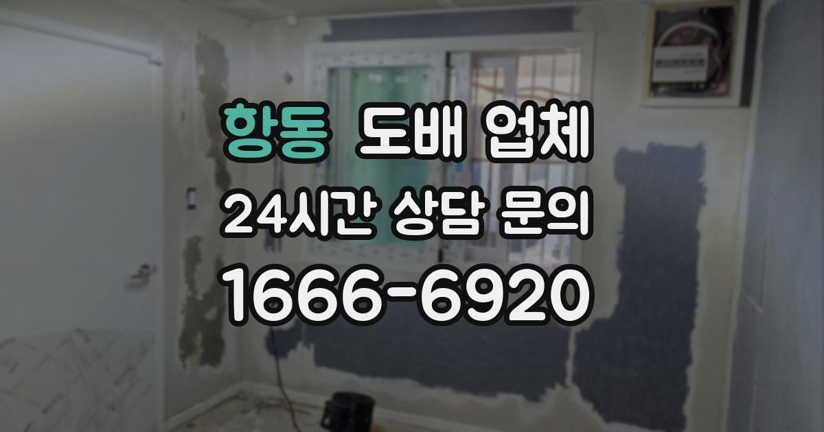 항동 도배 업체