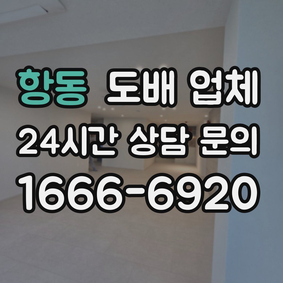 항동 도배 업체