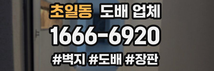 초일동 도배 업체
