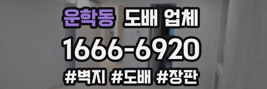 운학동 도배 업체