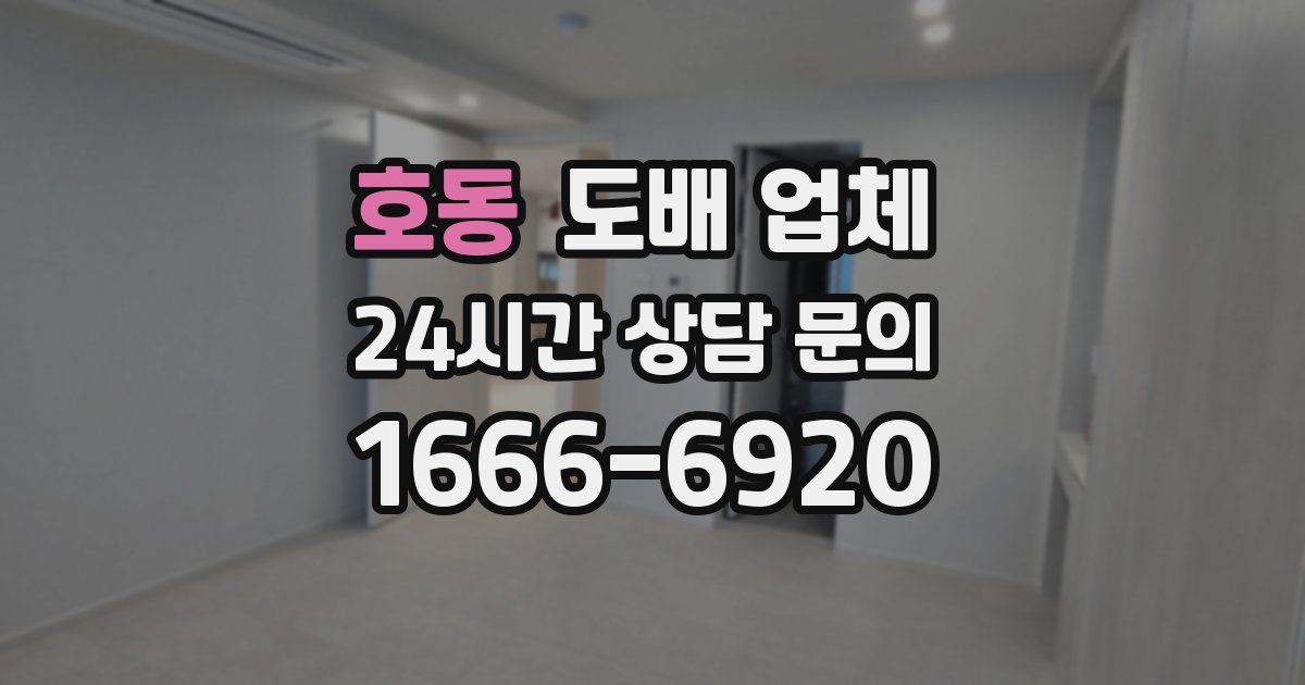 호동 도배 업체