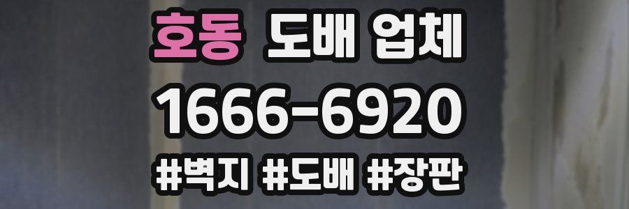 호동 도배 업체