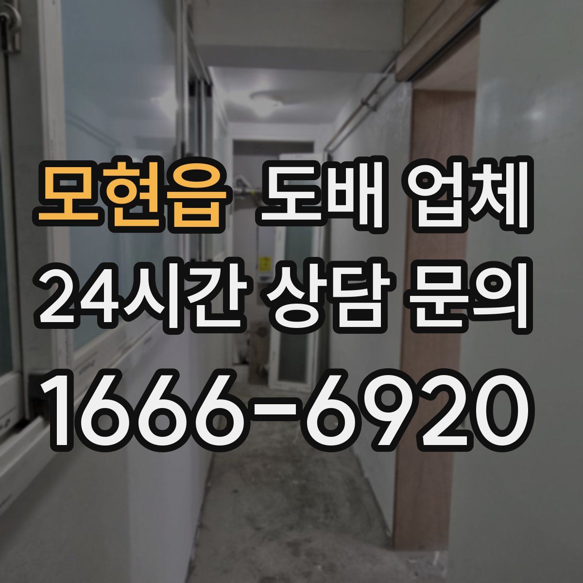 모현읍 도배 업체