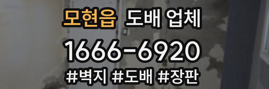 모현읍 도배 업체