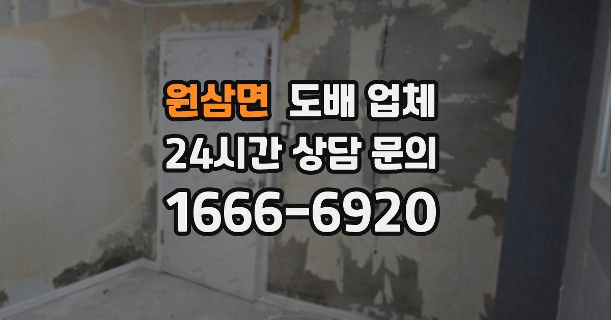 원삼면 도배 업체