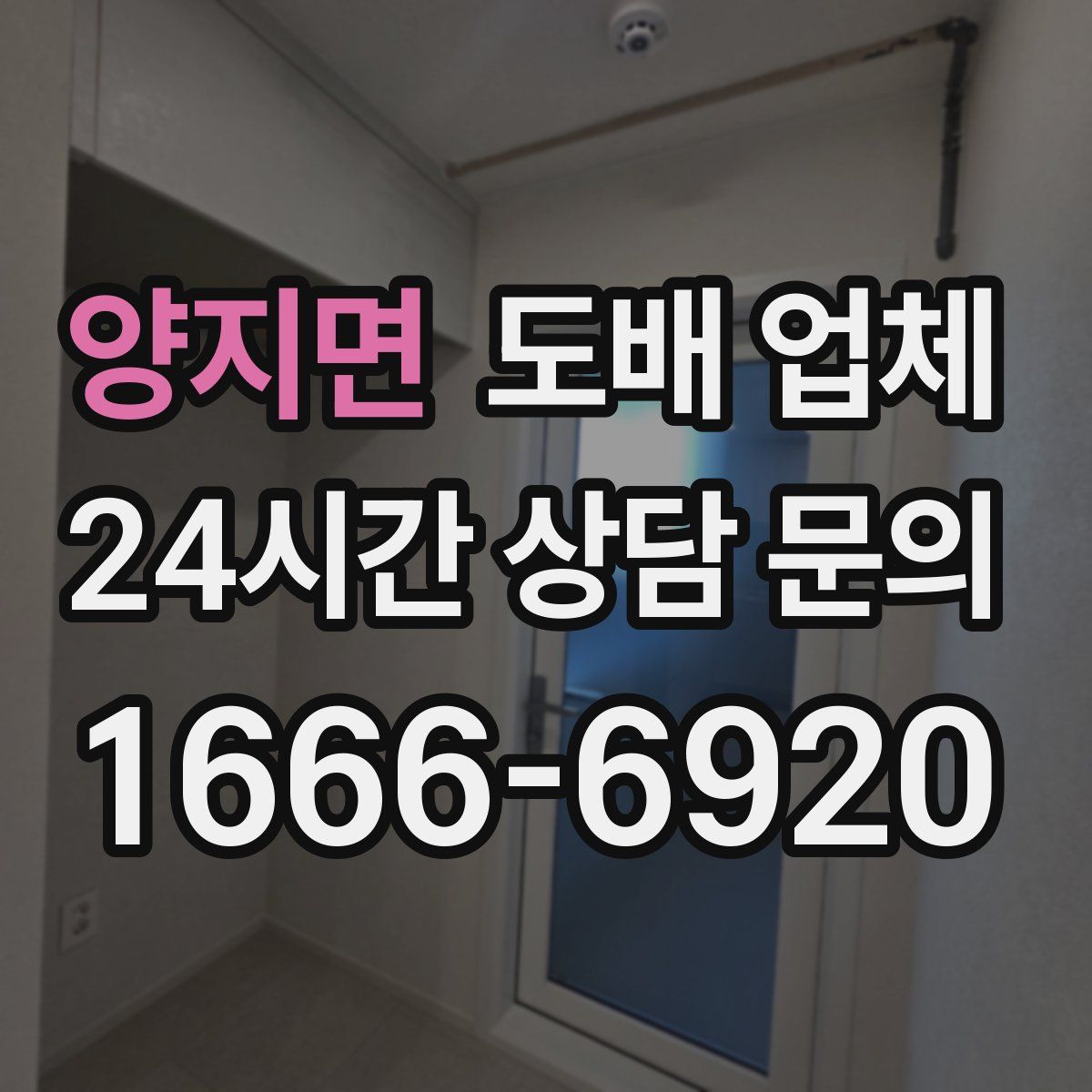 양지면 도배 업체