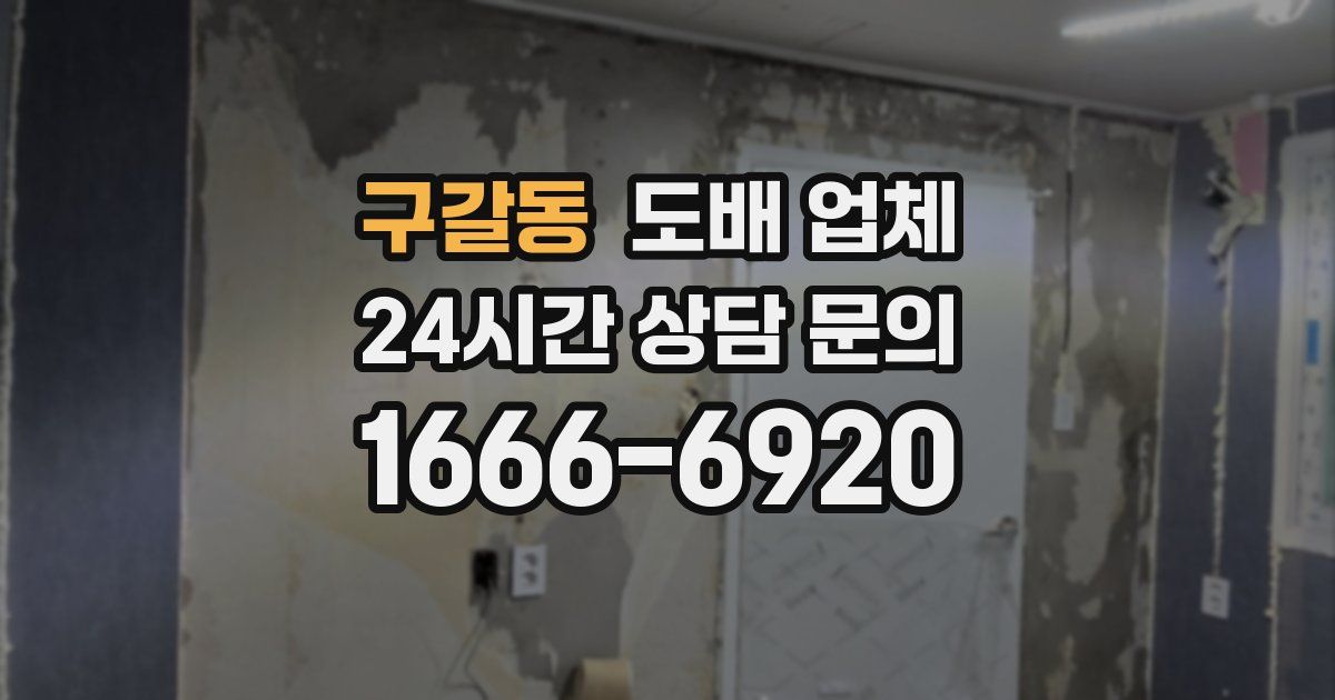 구갈동 도배 업체