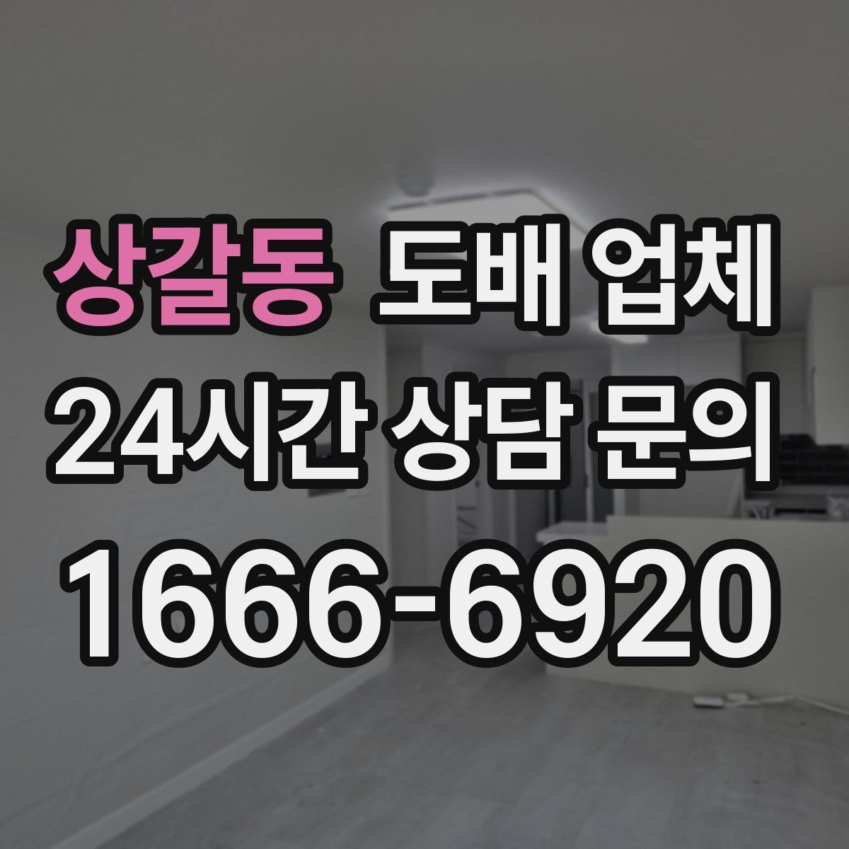 상갈동 도배 업체