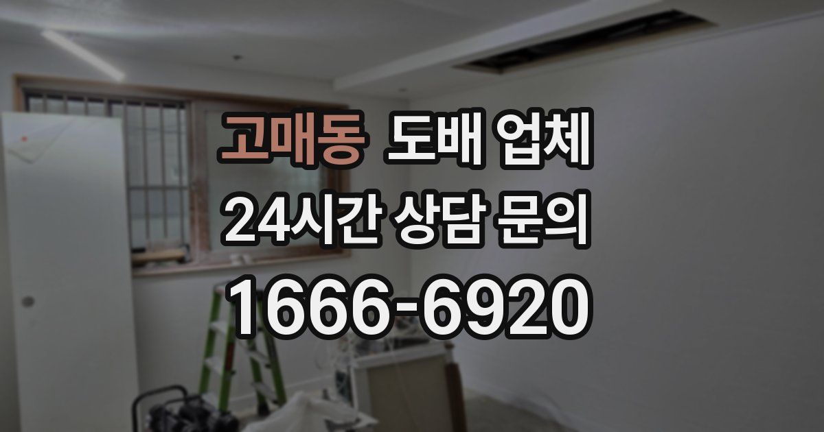 고매동 도배 업체