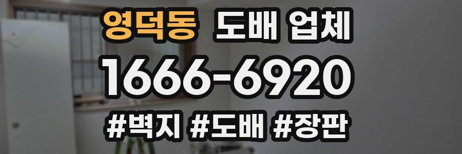 영덕동 도배 업체