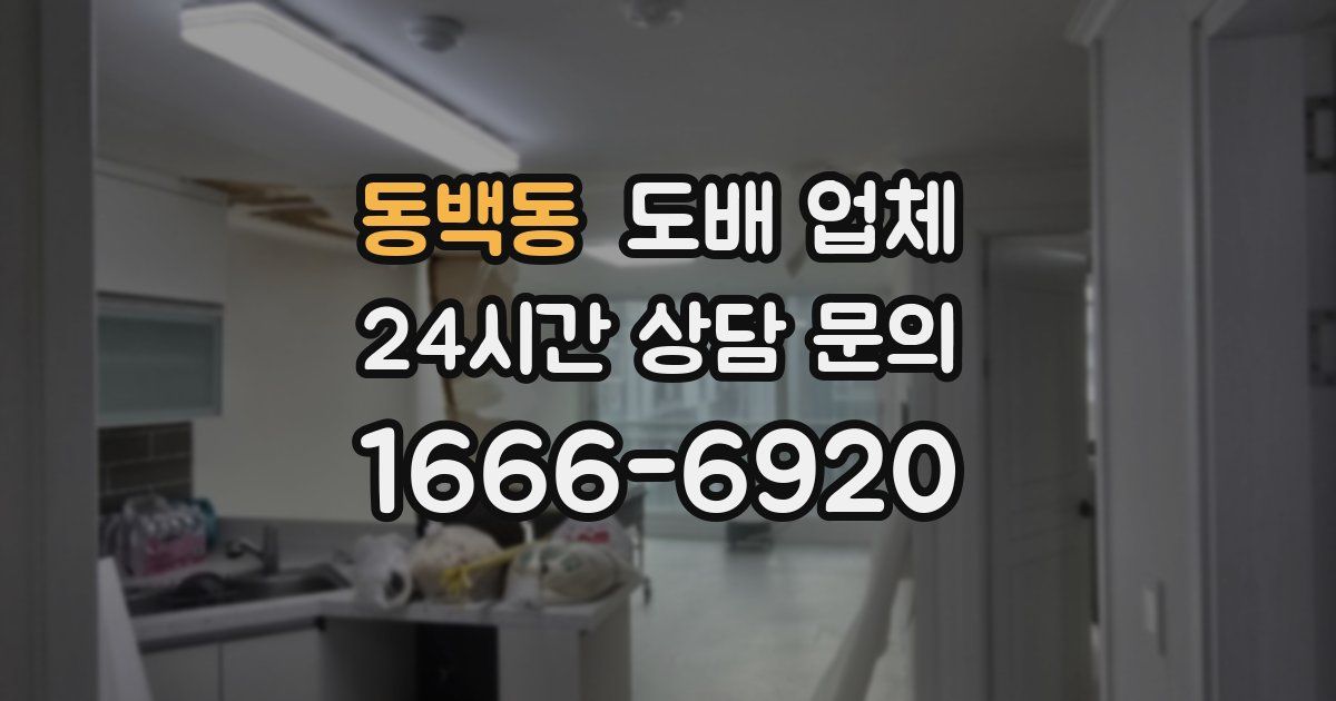 동백동 도배 업체