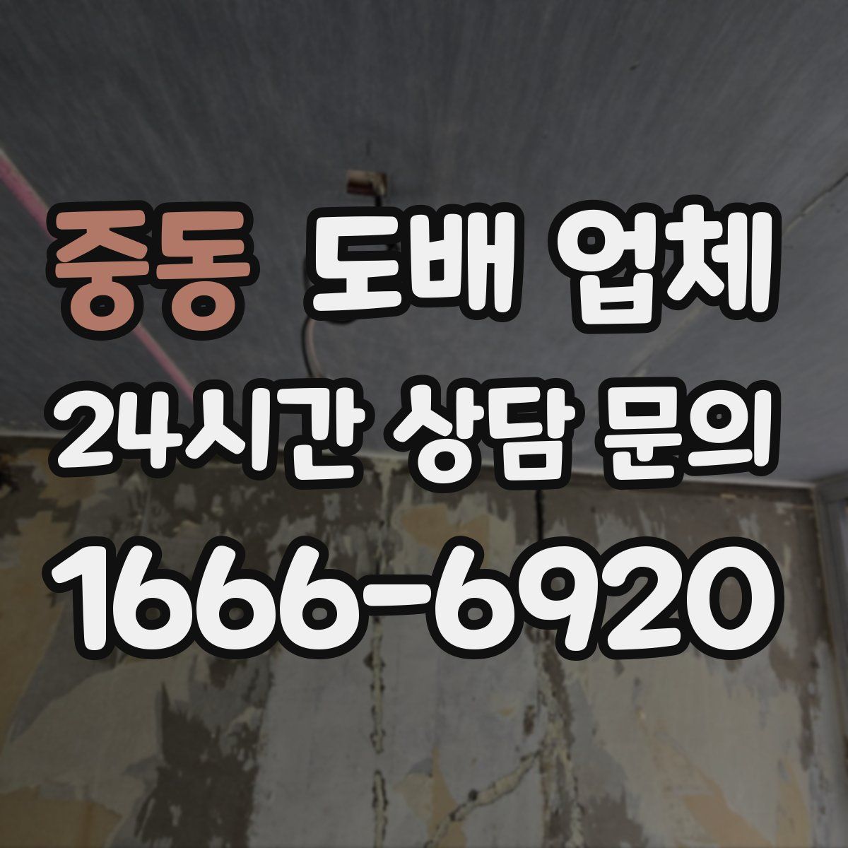 중동 도배 업체