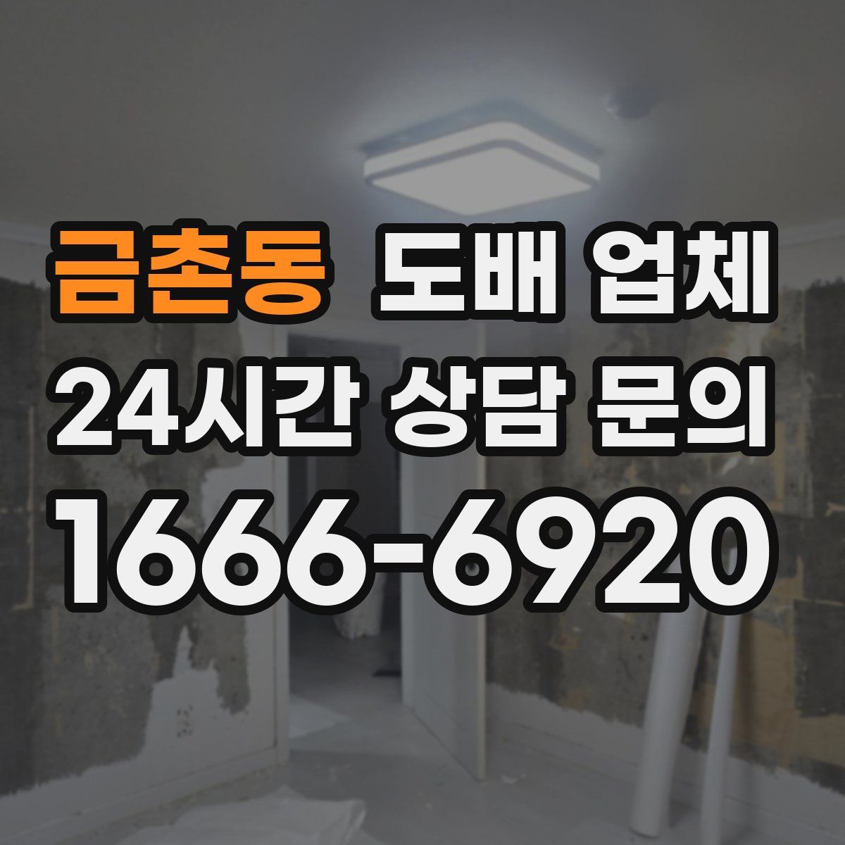 금촌동 도배 업체