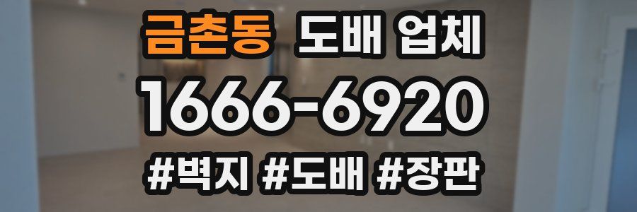 금촌동 도배 업체