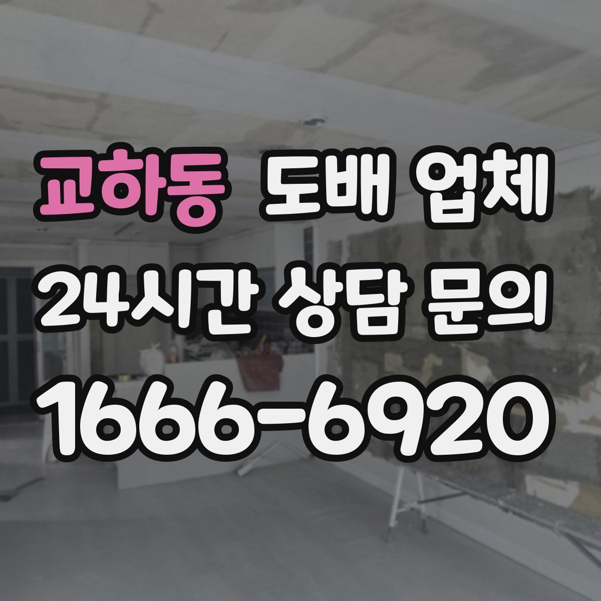 교하동 도배 업체