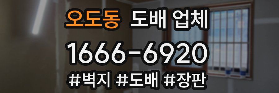 오도동 도배 업체
