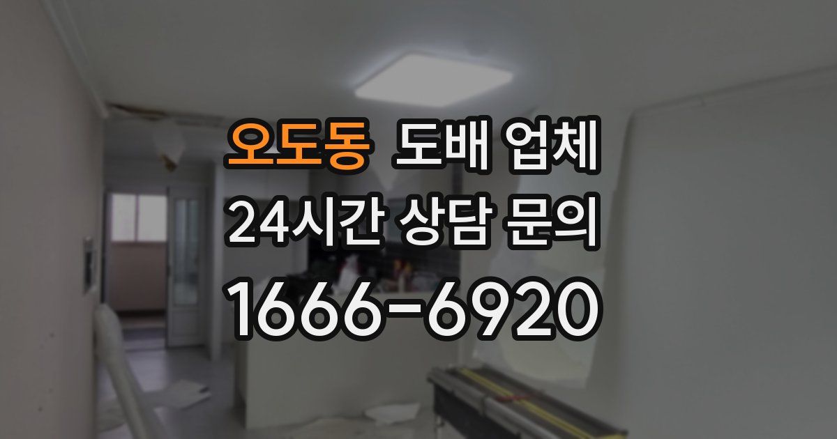 오도동 도배 업체