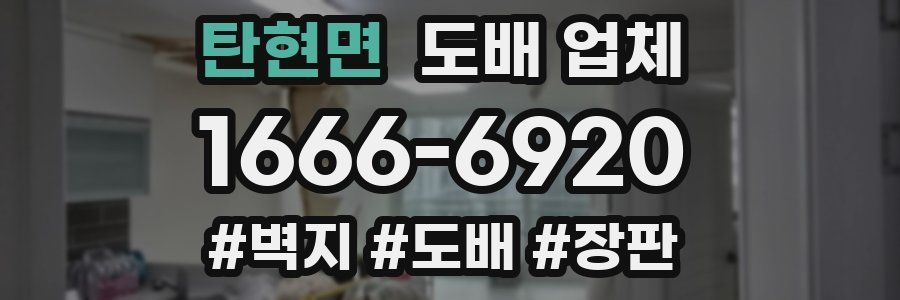 탄현면 도배 업체