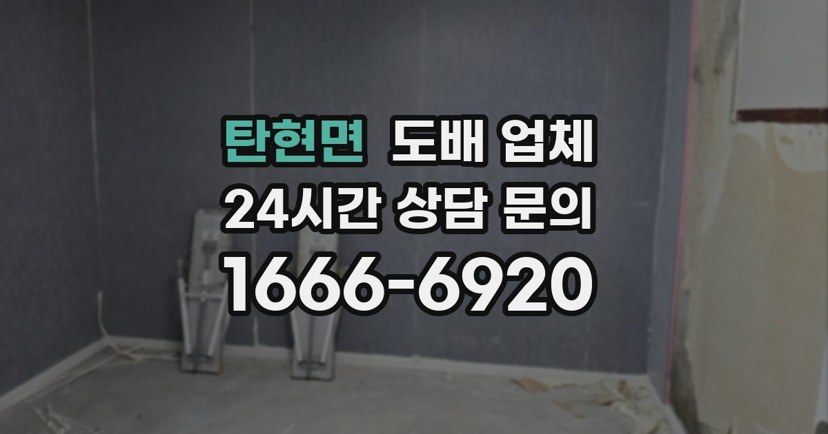 탄현면 도배 업체