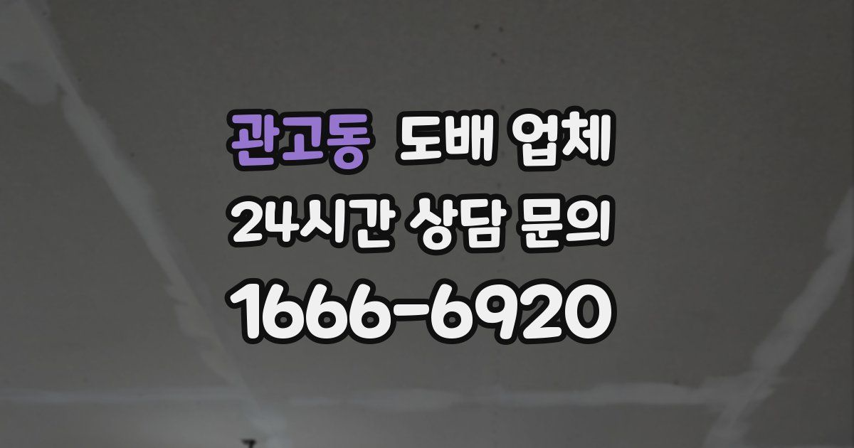 관고동 도배 업체