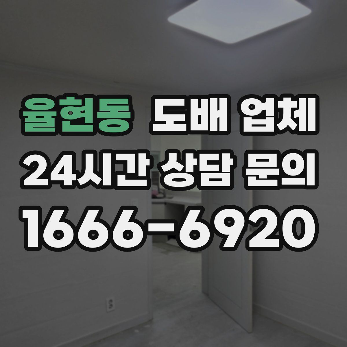 율현동 도배 업체