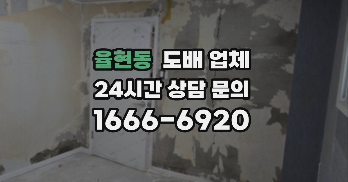 율현동 도배 업체