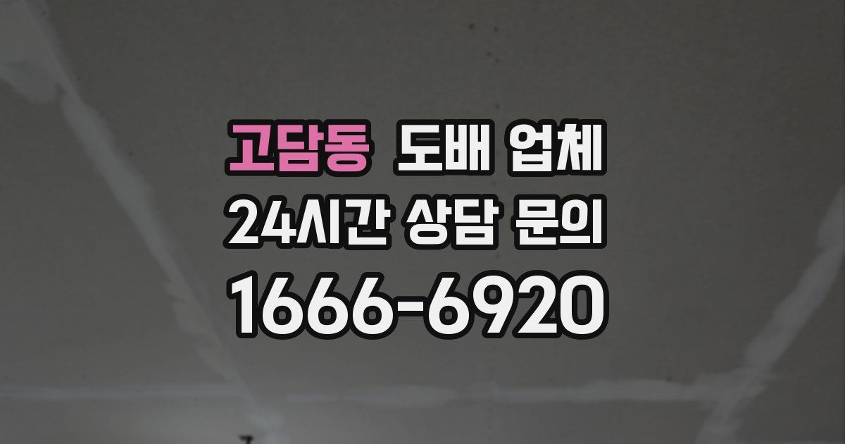 고담동 도배 업체