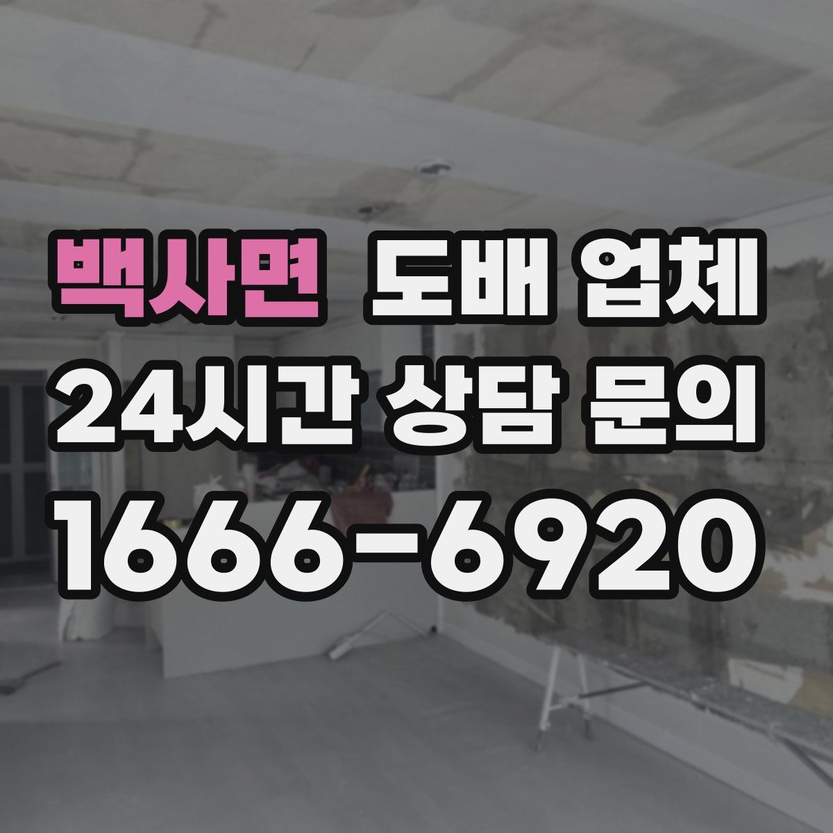 백사면 도배 업체