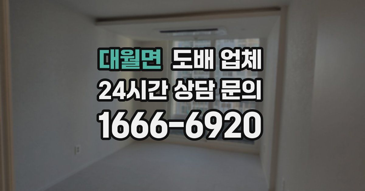 대월면 도배 업체