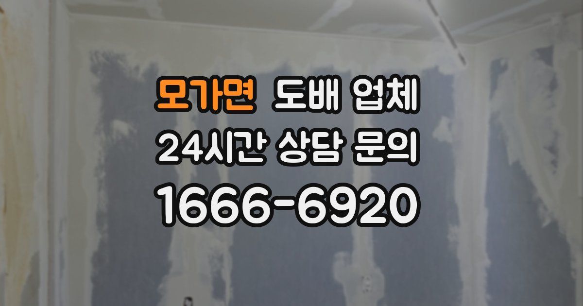모가면 도배 업체