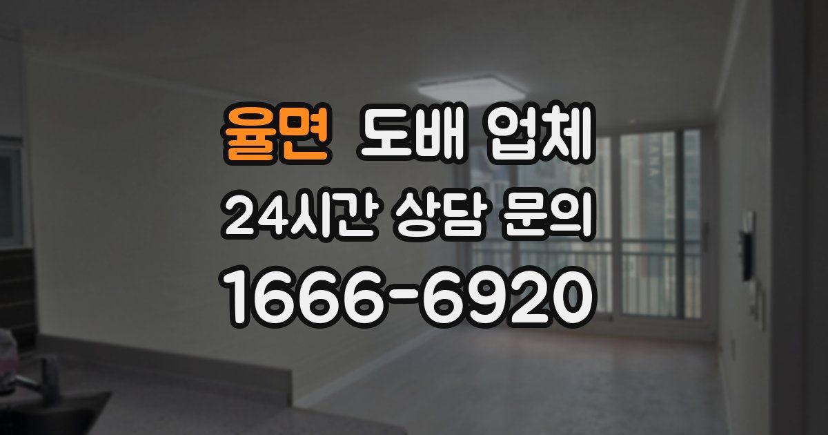율면 도배 업체