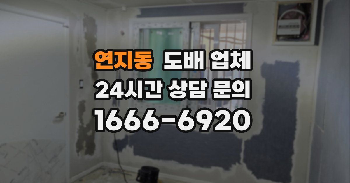 연지동 도배 업체